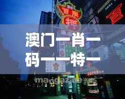 澳门一肖一码一一特一中：解密博彩文化的魅力与风险