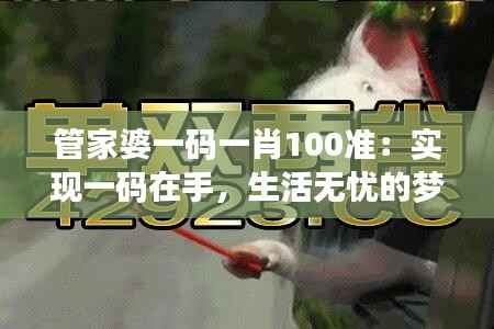 管家婆一码一肖100准：实现一码在手，生活无忧的梦想
