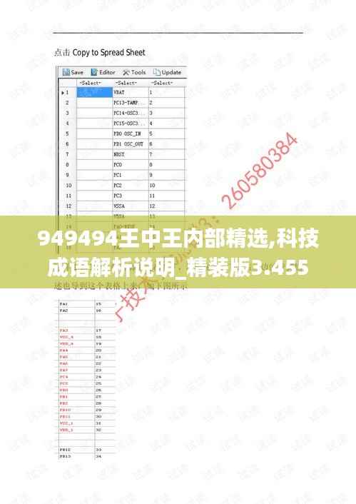 949494王中王内部精选,科技成语解析说明_精装版3.455