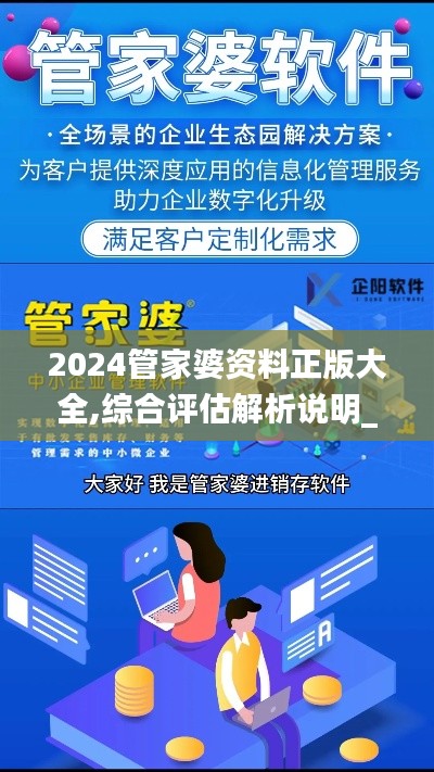 2024管家婆资料正版大全,综合评估解析说明_Max10.223