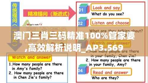 澳门三肖三码精准100%管家婆,高效解析说明_AP3.569