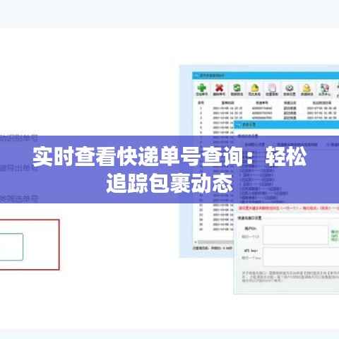 实时查看快递单号查询：轻松追踪包裹动态