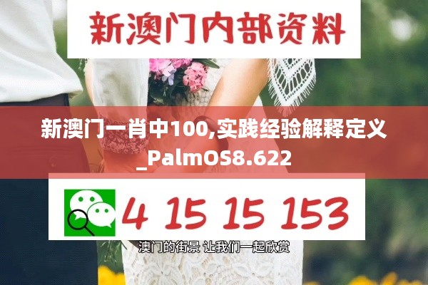 新澳门一肖中100,实践经验解释定义_PalmOS8.622