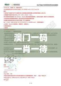 澳门一码一肖一待一中四,安全设计解析策略_安卓8.600