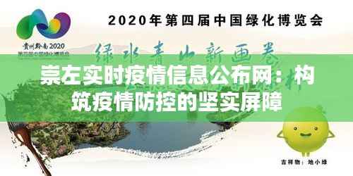 崇左实时疫情信息公布网：构筑疫情防控的坚实屏障