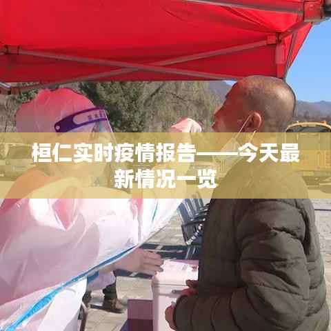 桓仁实时疫情报告——今天最新情况一览