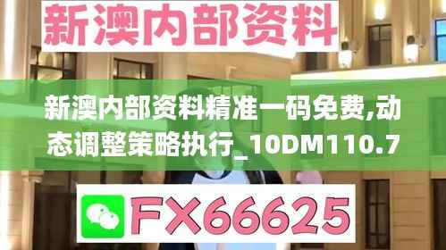 新澳内部资料精准一码免费,动态调整策略执行_10DM110.797