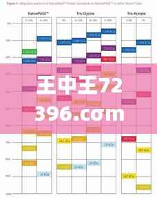 王中王72396.cσm.72326查询精选16码一,问题总结执行方案_RemixOS8.760