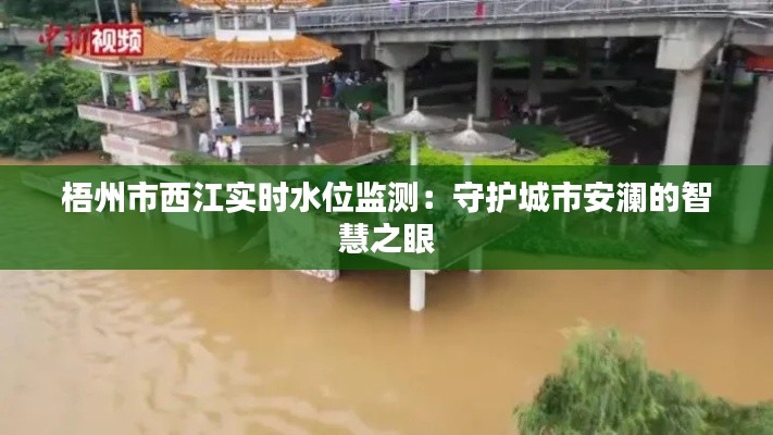 梧州市西江实时水位监测：守护城市安澜的智慧之眼