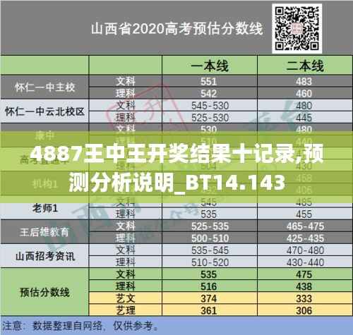 4887王中王开奖结果十记录,预测分析说明_BT14.143