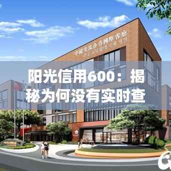 阳光信用600：揭秘为何没有实时查询功能