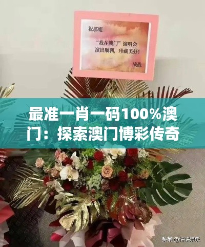 最准一肖一码100%澳门：探索澳门博彩传奇，揭秘100%胜率的真相