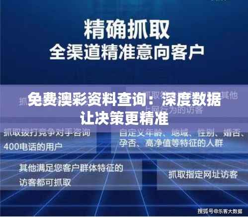 免费澳彩资料查询：深度数据让决策更精准