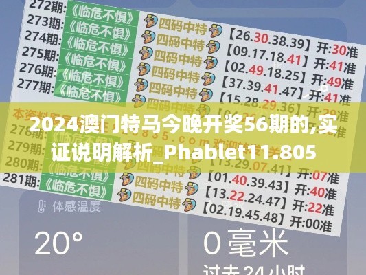 2024澳门特马今晚开奖56期的,实证说明解析_Phablet11.805