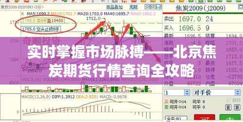 实时掌握市场脉搏——北京焦炭期货行情查询全攻略
