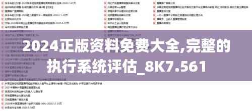 2024正版资料免费大全,完整的执行系统评估_8K7.561