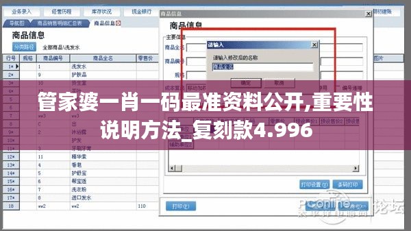 管家婆一肖一码最准资料公开,重要性说明方法_复刻款4.996