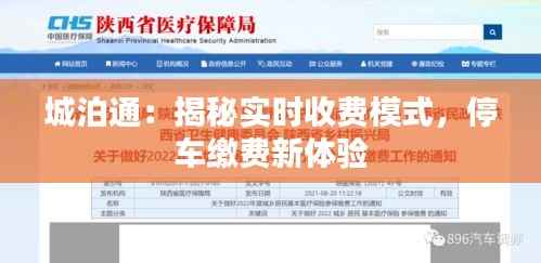 城泊通：揭秘实时收费模式，停车缴费新体验