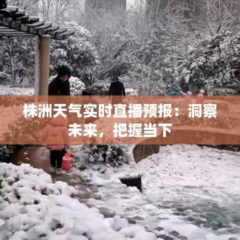 株洲天气实时直播预报：洞察未来，把握当下