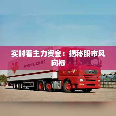 实时看主力资金：揭秘股市风向标