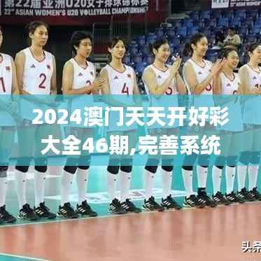 2024澳门天天开好彩大全46期,完善系统评估_豪华版10.690