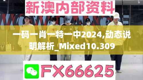 一码一肖一特一中2024,动态说明解析_Mixed10.309