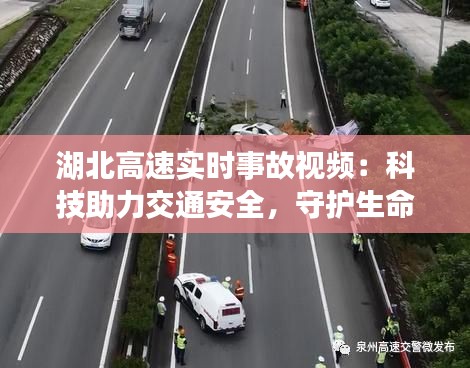 迷离马虎 第6页