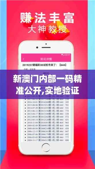 新澳门内部一码精准公开,实地验证设计方案_特供款4.788