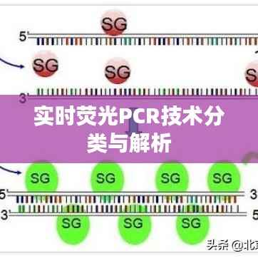 实时荧光PCR技术分类与解析