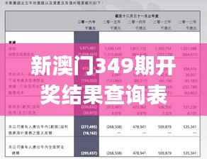 新澳门349期开奖结果查询表,经验解答解释落实_精英款5.732
