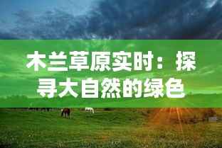 木兰草原实时：探寻大自然的绿色秘境