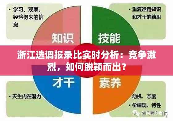浙江选调报录比实时分析：竞争激烈，如何脱颖而出？
