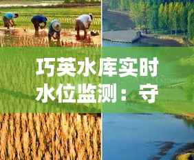 巧英水库实时水位监测：守护水资源安全的科技利器
