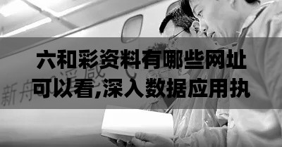 六和彩资料有哪些网址可以看,深入数据应用执行_WP版9.648