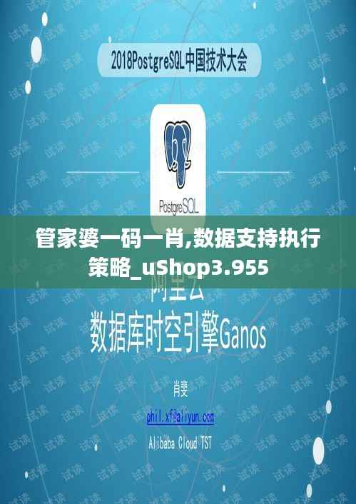 管家婆一码一肖,数据支持执行策略_uShop3.955