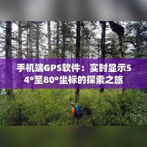 手机端GPS软件：实时显示54°至80°坐标的探索之旅