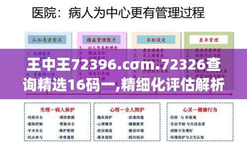 王中王72396.cσm.72326查询精选16码一,精细化评估解析_Prestige1.737