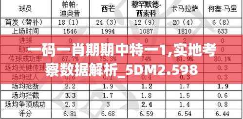 一码一肖期期中特一1,实地考察数据解析_5DM2.598
