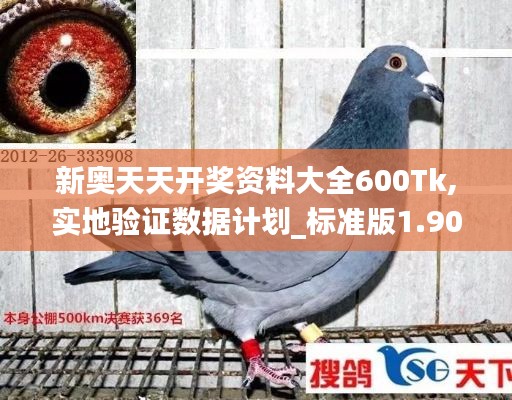 新奥天天开奖资料大全600Tk,实地验证数据计划_标准版1.908