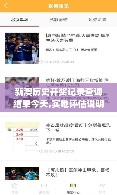 新澳历史开奖记录查询结果今天,实地评估说明_安卓版2.809