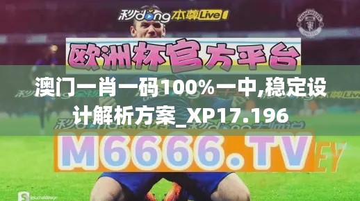 澳门一肖一码100%一中,稳定设计解析方案_XP17.196