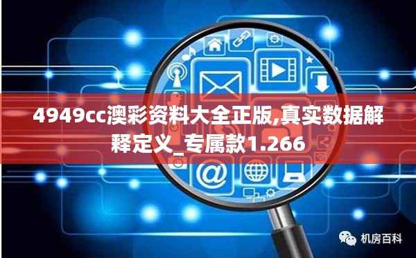 4949cc澳彩资料大全正版,真实数据解释定义_专属款1.266