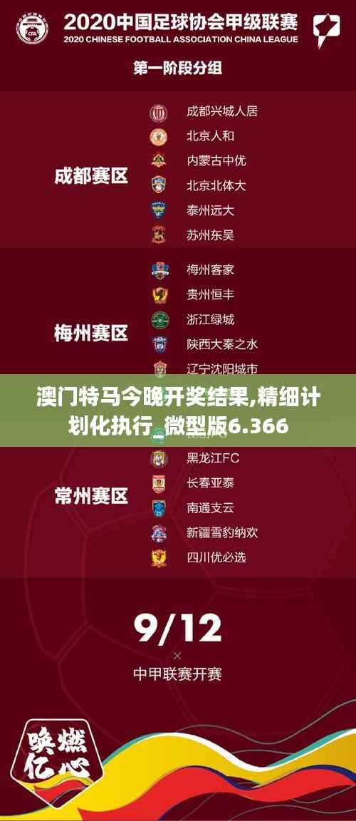 澳门特马今晚开奖结果,精细计划化执行_微型版6.366