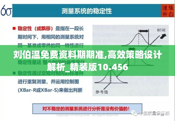 刘伯温免费资料期期准,高效策略设计解析_精装版10.456
