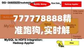 777778888精准跑狗,实时解析说明_AP3.220