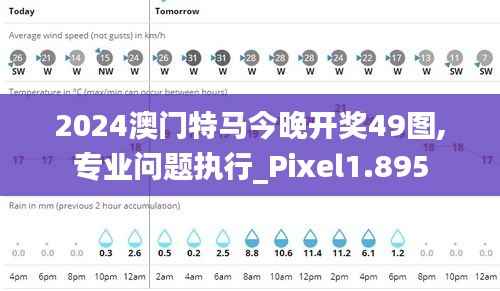 2024澳门特马今晚开奖49图,专业问题执行_Pixel1.895