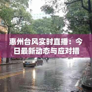 惠州台风实时直播：今日最新动态与应对措施全解析