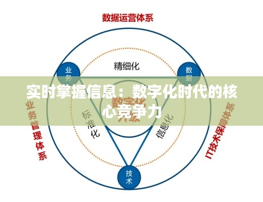实时掌握信息：数字化时代的核心竞争力