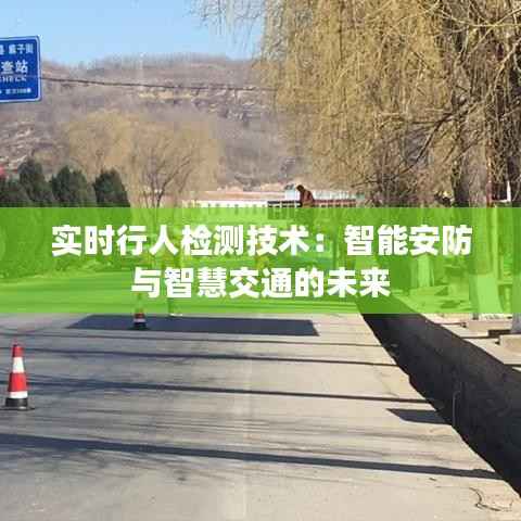 实时行人检测技术：智能安防与智慧交通的未来