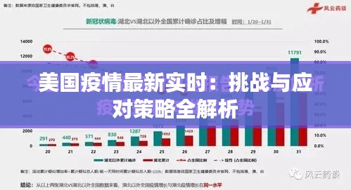 美国疫情最新实时：挑战与应对策略全解析